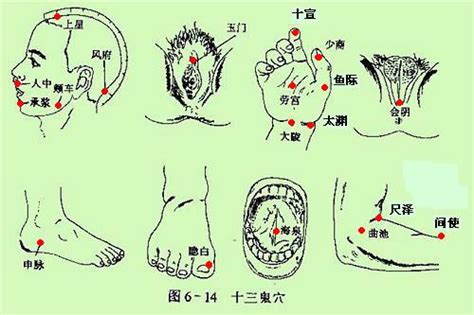 十三鬼穴 位置|你知道针灸中的“十三鬼穴”吗？图解给你全面解析！